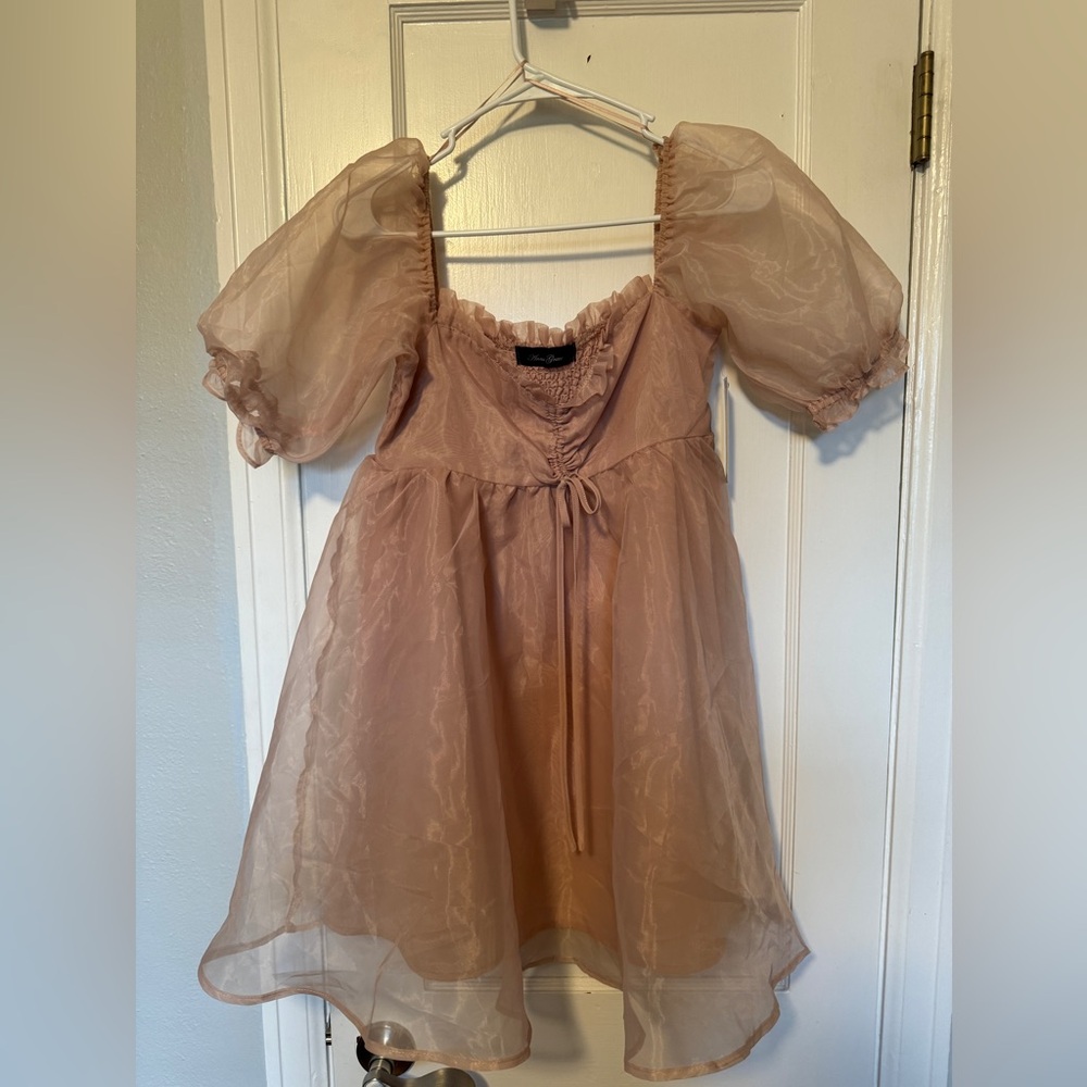 Lizard Thicket Blush Sheer Dress
